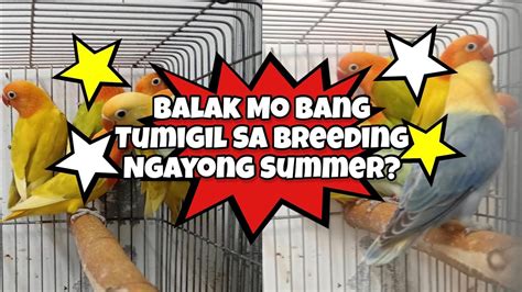 Nagbabalak ka .